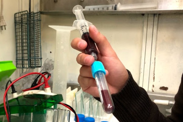 Emancipacíon Microbiana