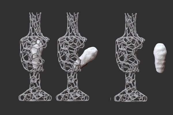 Emancipacíon Microbiana