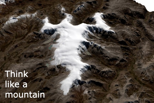 Think Like a Mountain
