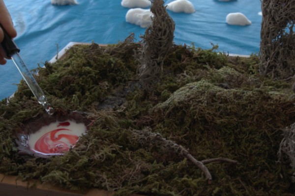 The universe according to Dan Buckley