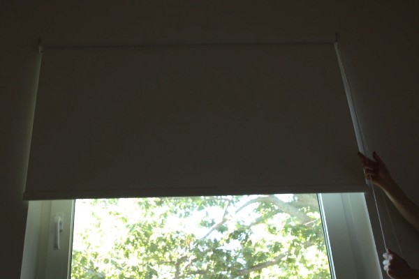 The universe according to Dan Buckley