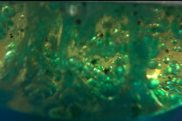 The universe according to Dan Buckley